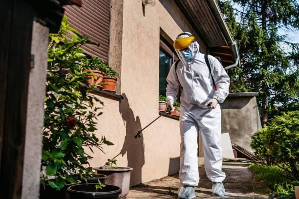 Pest Control Cost in Gold Canyon, AZ