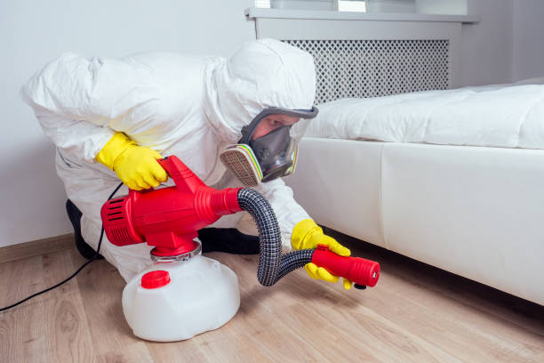 Pest Prevention Services in Gold Canyon, AZ